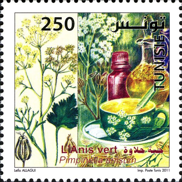 Green Anise