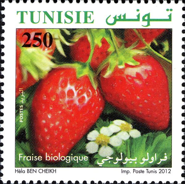 The Strawberry