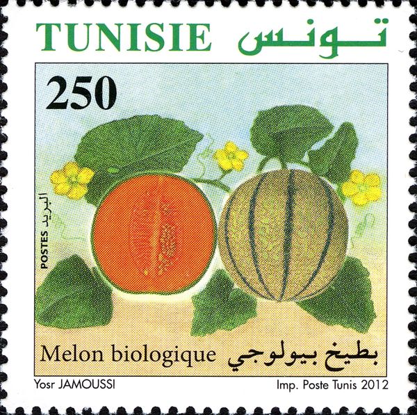 The Melon