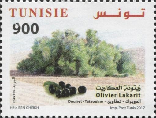 The Olive Tree Lakarit