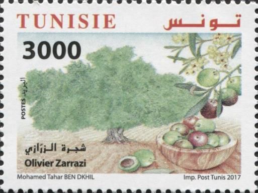 The Olive Tree Zarrazi