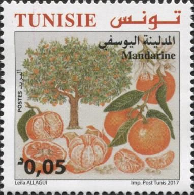 The Mandarins Youssfi