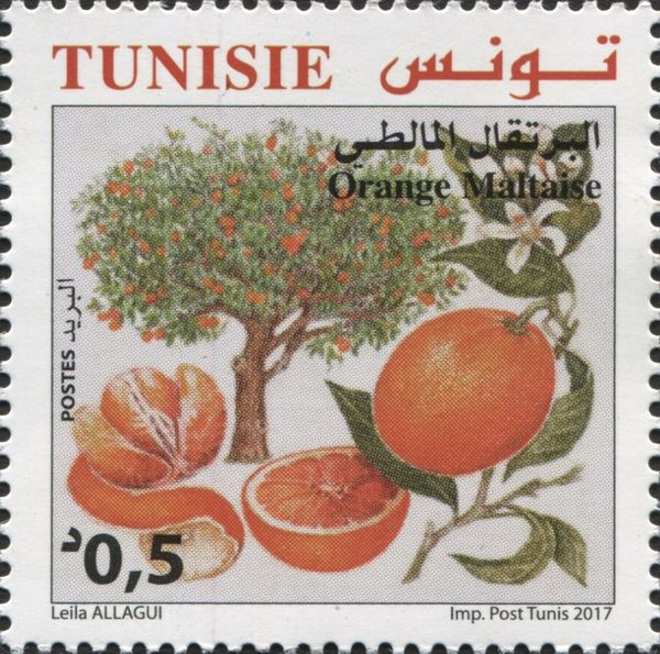 The Maltese Orange