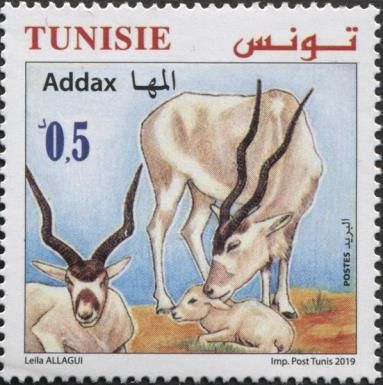 Addax (Addax nasomaculatus)
