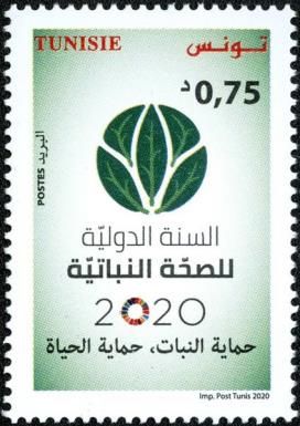 International Year of Plant Health 2020