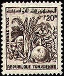 Tunisian Agriculture Produce