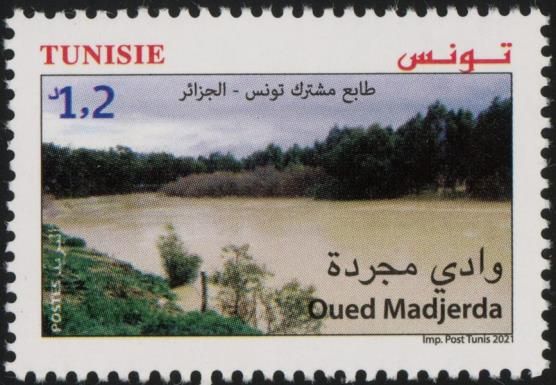 View of Majirda River