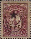 overprint on Internal post stamps 1905
