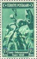 Fig Tree (Ficus Carica)