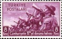 Turkish Youth Scouts