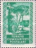 Trees on Kozak Plateau