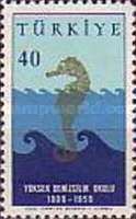 Marine Symbols with Seahorse