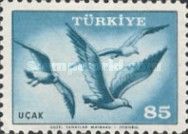 Gull (Larus sp.) 