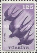 Swallow (Hirundo sp.)