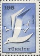Gull (Larus sp.)