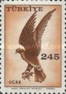 Hawk (Accipiter sp.)
