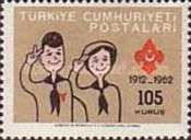 Scouts Saluting