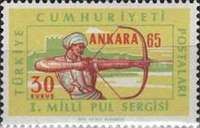 Archer and Ankara Castle