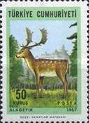 Common Fallow Deer (Dama dama)