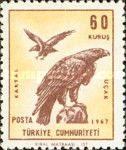 Golden Eagle (Aquila chrysaetos)