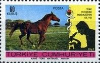 Horse (Equus ferus caballus)