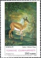 Karaca by Şeker Ahmet Paşa