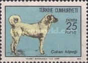 Sivas Sheepdog