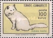 Turkish Angora Cat