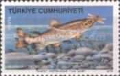 Trout (Salmo trutta)