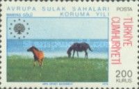 Horse (Equus ferus caballus), Manyas Lake