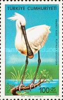 Eurasian Spoonbill (Platalea leucorodia)