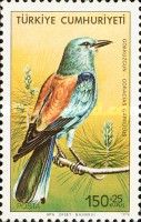 European Roller (Coracias garrulus)