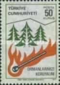 Burning Match and Trees