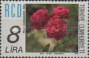 Roses