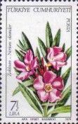 Oleander