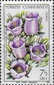 Ephesian Bellflower