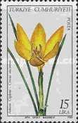 Angora Crocus