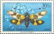 Owlfly (Ascalaphus macaronius)