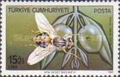 Olive Fruit Fly (Dacus oleae)
