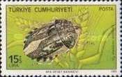 Sunn Pest (Eurygaster intergriceps)