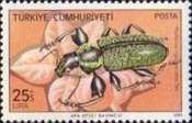 Weevil (Phyllobius nigrofasciatus)
