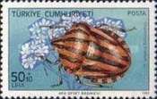 Striped Stink Bug (Graphosoma lineatum)