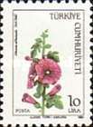 Marshmallow Flower (Althaea Officinalis)