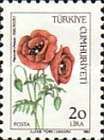 Papaver rhoeas