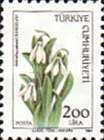 Snowdrop (Galanthus Elwesii)