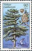 Cedar of Lebanon and Galley