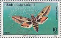 Spurge Hawk-moth (Celerio euphorbiae)