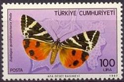 Jersey Tiger (Euplagia quadripunctaria)