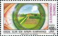 Eye, Road, Planted Field