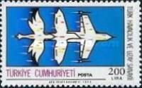 Evolution from Bird to Aircraft